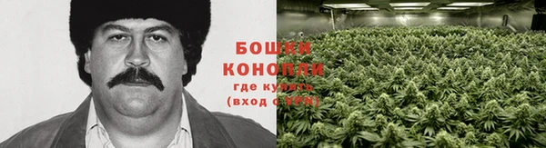 дживик Навашино