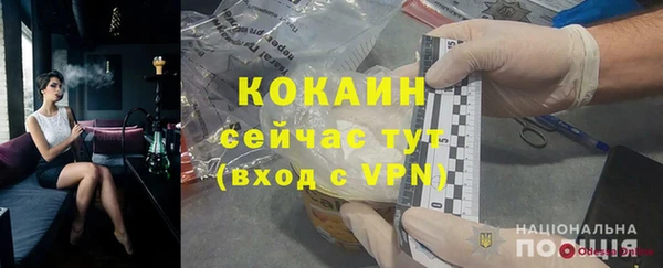 дживик Навашино