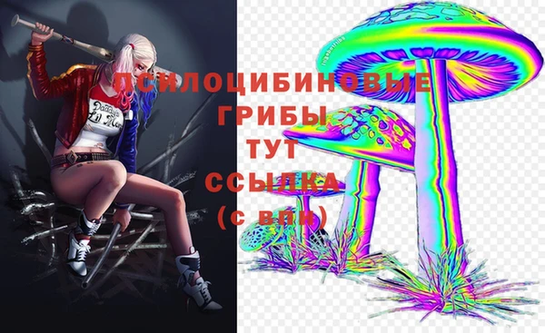 бутират Надым