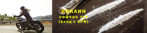 дживик Навашино