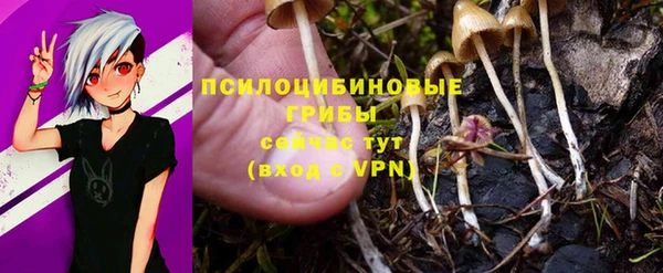 дживик Навашино