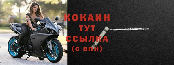 дживик Навашино