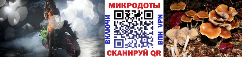 OMG как зайти  Октябрьск  Псилоцибиновые грибы Psilocybine cubensis 